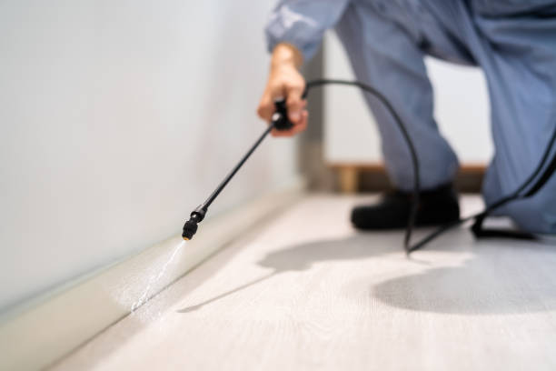 Bed Bug Pre-Treatment Preparation Assessment in Van Meter