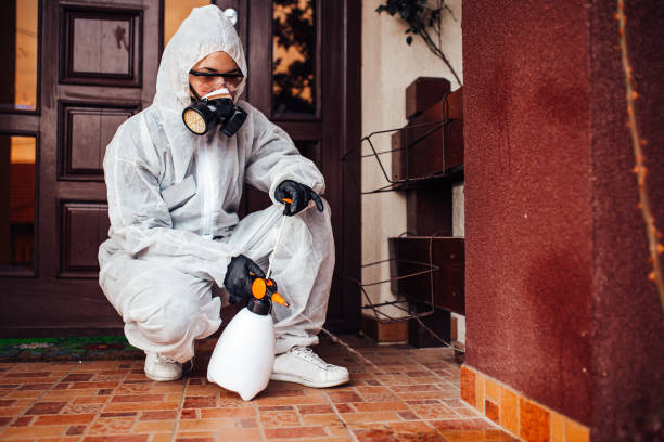Multi-Unit and Airbnb Bed Bug Protocol in Van Meter