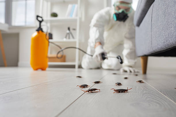 Post-Treatment Bed Bug Interceptor Monitoring in Van Meter
