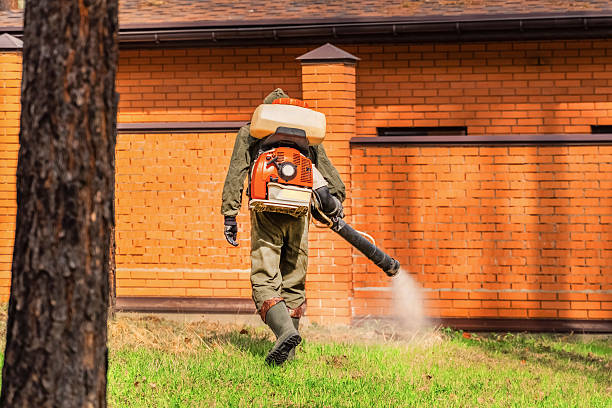 Bed Bug Clearance Verification and Documentation in Van Meter